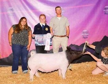 Bob May Livestock Winners