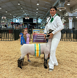 Bob May Livestock Winners