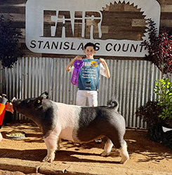 Alex Mendonza
Champion 4-H Hampshire
Stanislaus County Fair