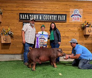 Jameson Ragan
Champion Duroc
Napa Town and Country Fair